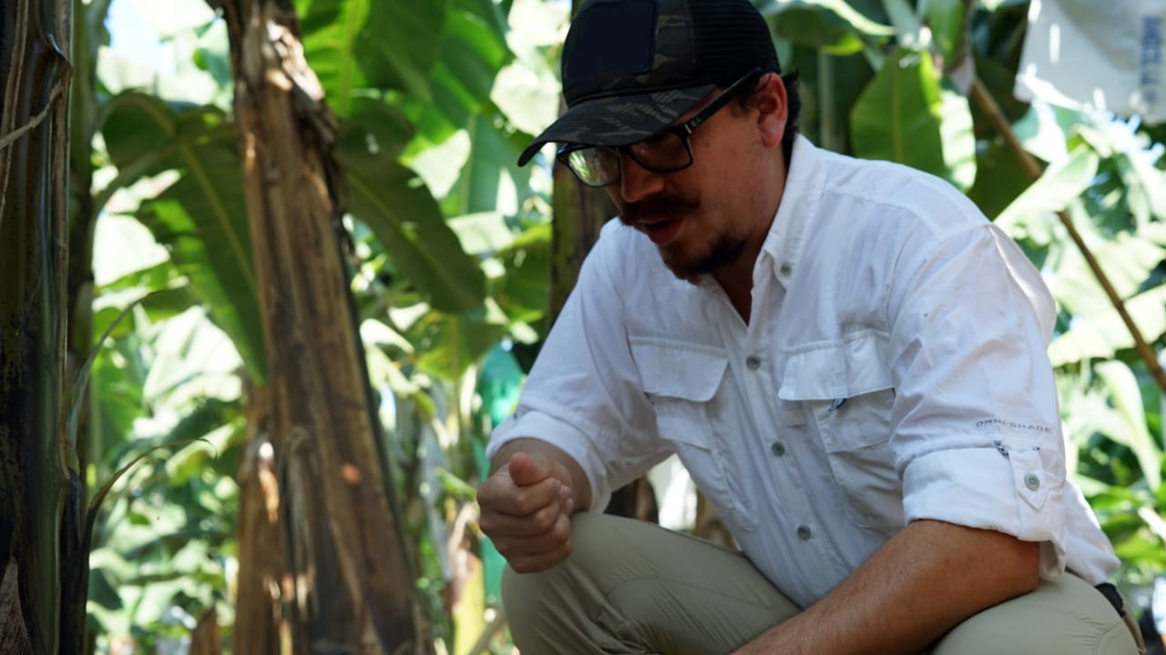 insumos agricolas ecuador